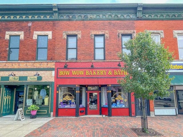 145 S Front Street, Dowagiac, MI 49047