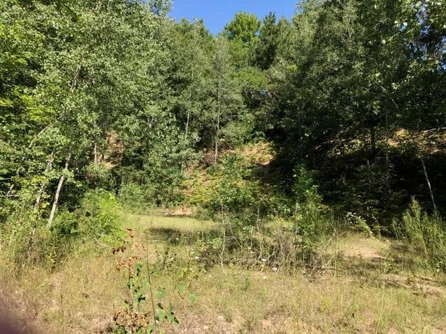 Lots 8 & 9 S Riverview Drive, Hesperia, MI 49421
