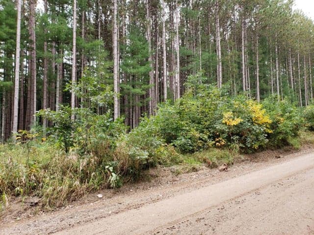 V/L Lakola Road, Leroy, MI 49655