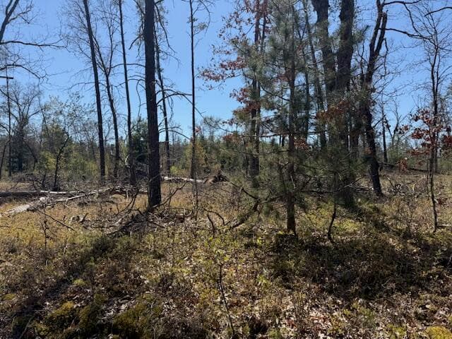 VL Prarie Road, Idlewild, MI 49642