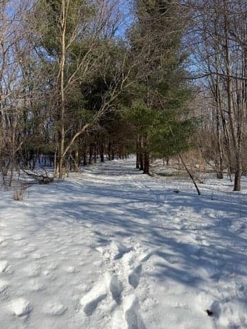 Warner Road, Laingsburg, MI 48848