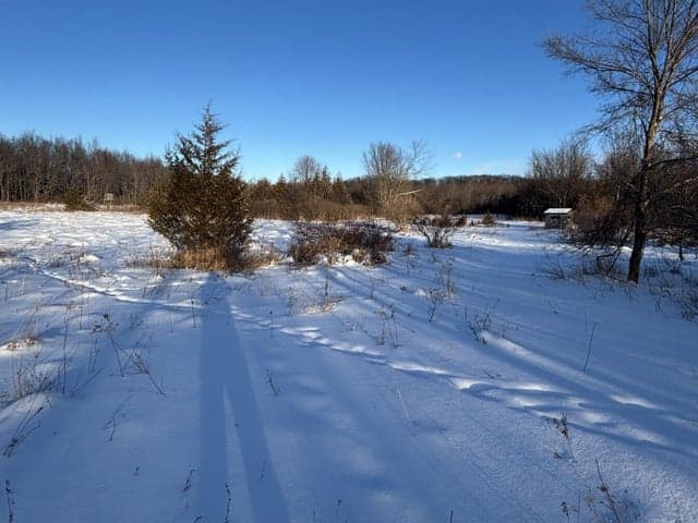 6711 S Tripp Road, Osseo, MI 49266