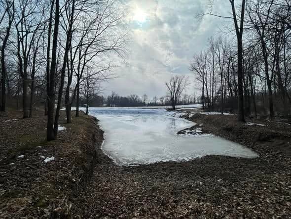 5018 S Rumsey Road, Pittsford, MI 49271