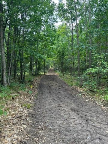 V/L Dexter Road, Wellston, MI 49689