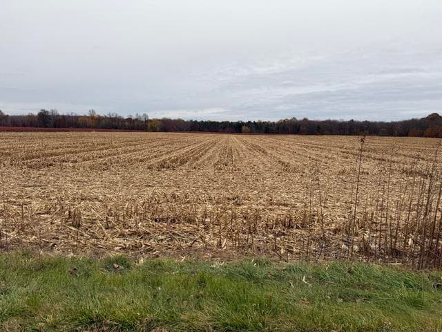 VL 2ac. County Road 687 Division 1, Bangor, MI 49013
