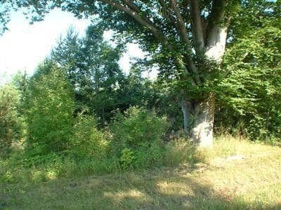 5893 W Austrian Pine Lane, Grant, MI 49327