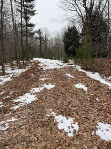 West Fox Farm Road, Manistee, MI 49660