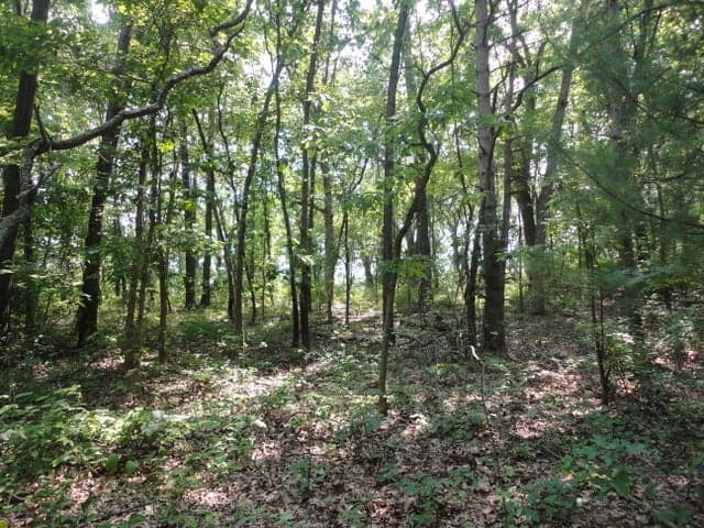 Parcel A CR 215 Avenue, Grand Junction, MI 49056
