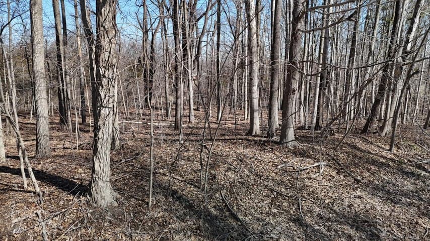0 Willow Rd, Saline, MI 48176