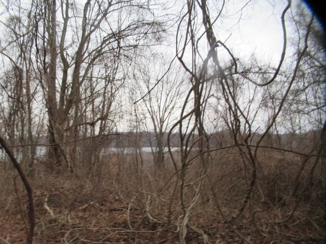 17673 Long Lake Drive, Cassopolis, MI 49031