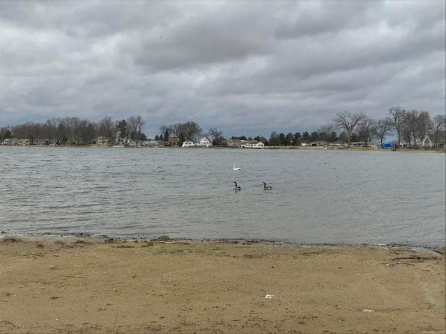 E Lake Drive, White Pigeon, MI 49099