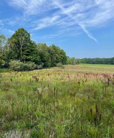 10 Acres +/- 3 Mile Road, Reed City, MI 49677