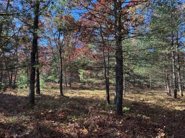 Parcel 3 County Line Road, Free Soil, MI 49411