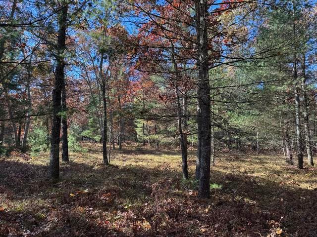 Parcel 3 County Line Road, Free Soil, MI 49411