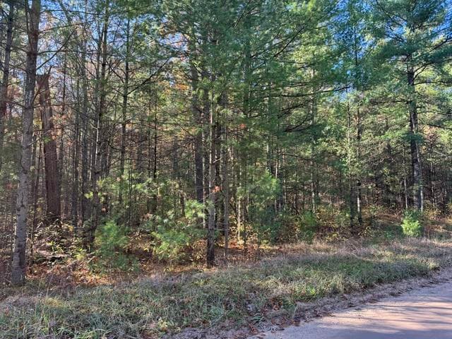 Parcel 1 County Line Road, Free Soil, MI 49411