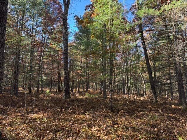 Parcel 2 County Line Road, Free Soil, MI 49411
