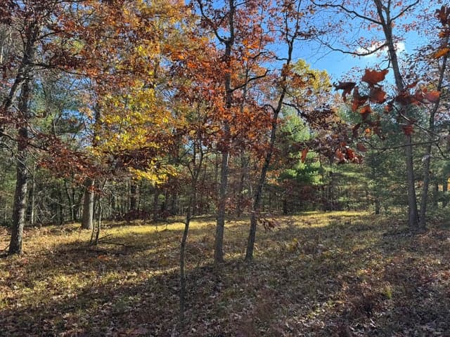 Parcel 4 County Line Road, Free Soil, MI 49411