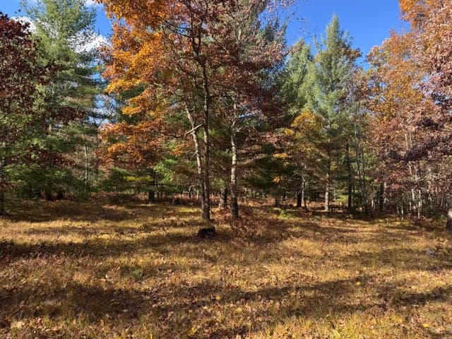 Parcel 12 County Line Road, Free Soil, MI 49411
