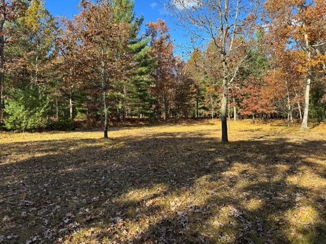 Parcel 13 County Line Road, Free Soil, MI 49411