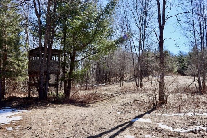 V/L 200th Avenue, Tustin, MI 49688
