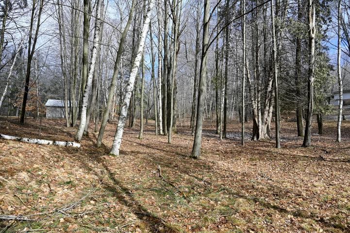 9828 Pontiac Trail, Evart, MI 49631