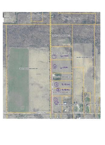 V/L Janet Dr Parcel 4, Saranac, MI 48881