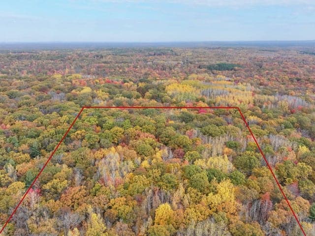 11643 N Willow Road, Bitely, MI 49309