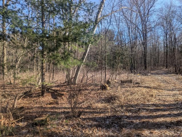 00 East Road, Montrose, MI 48457