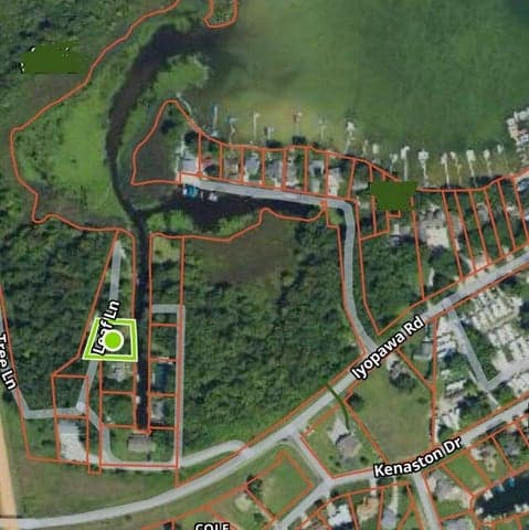 Tree Lane, Coldwater, MI 49036