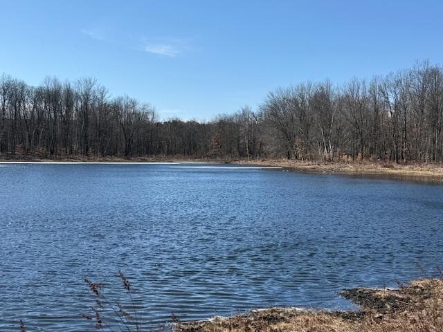 8831 11 Mile Road, Mecosta, MI 49332
