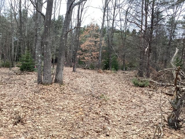 2510 W Winston Road, Rothbury, MI 49452