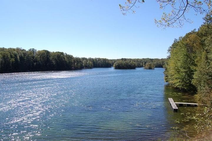 8986 N Royal Road 46, Canadian Lakes, MI 49346