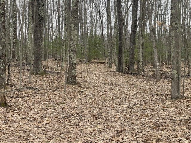 V/L W Deer Track Trail Parcel A-4, Irons, MI 49644