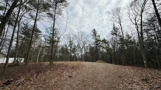 0 Lot 30B Mohawk Street, Pentwater, MI 49449