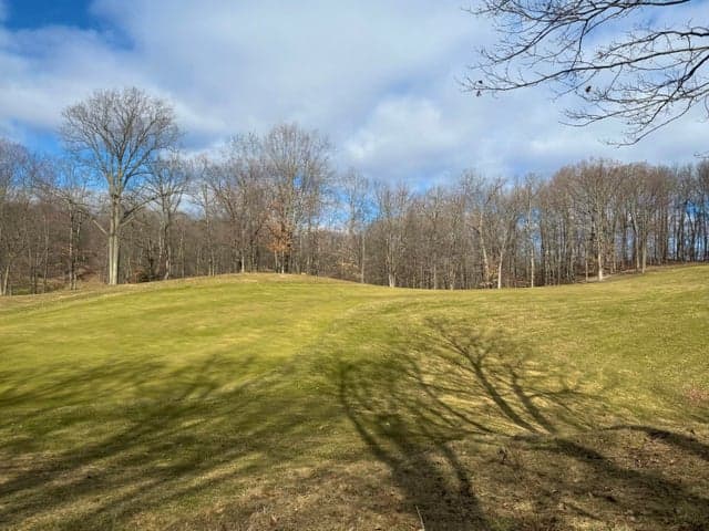 9689 Saint Ives Drive, Stanwood, MI 49346