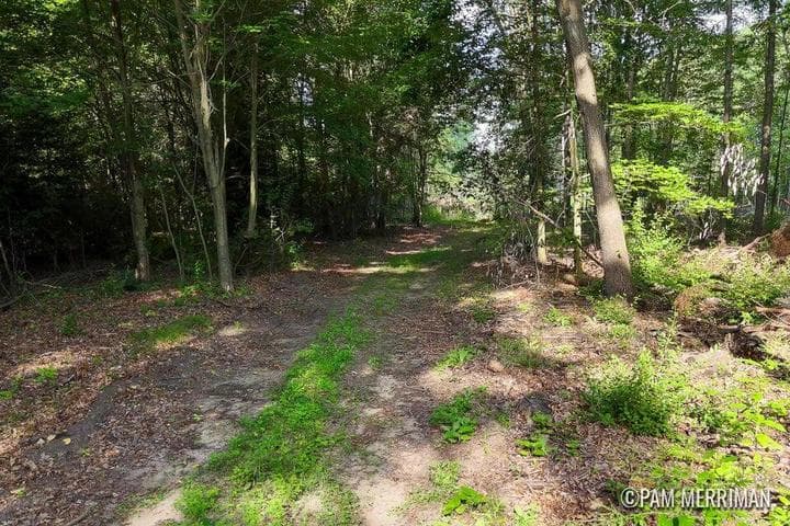 Parcel B Youngman Road, Trufant, MI 49347