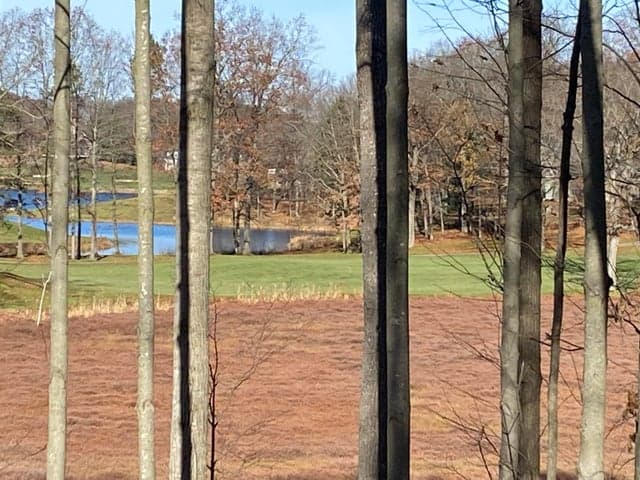 8975 Whispering Lane 234-235, Canadian Lakes, MI 49346
