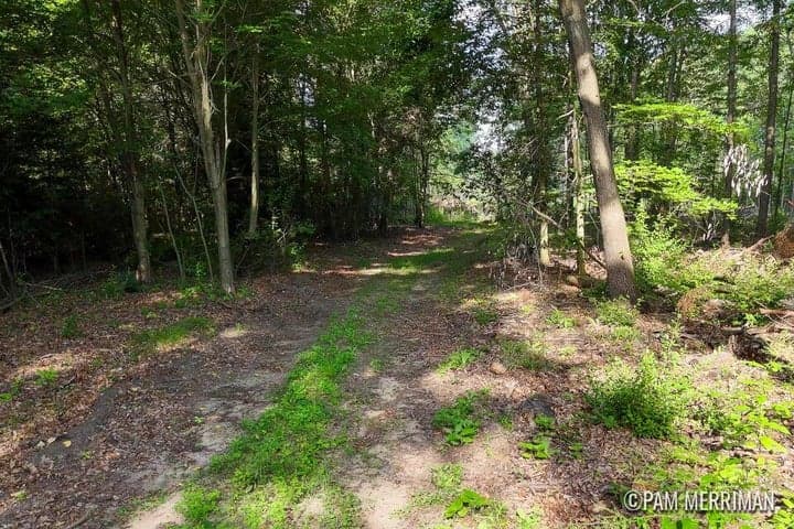 Parcel A Youngman Road, Trufant, MI 49347