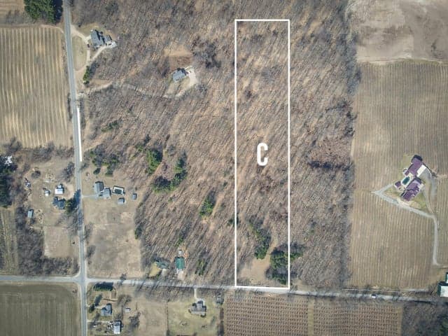 Parcel C 9.97 Acres W Grant Road, New Era, MI 49446