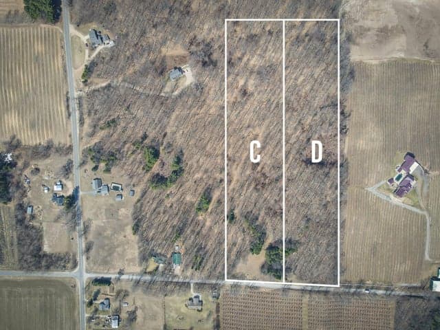 Parcel C&D 19.95 Acres W Grant, New Era, MI 49446
