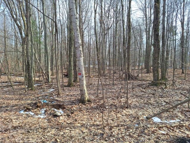 V/L Birch Street LOT 10, 11, 12 BL 13, Ludington, MI 49431