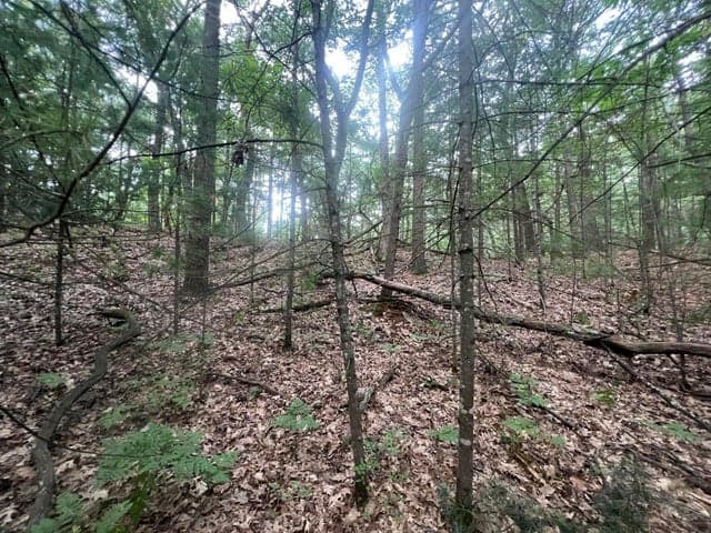 V/L a Lenox Ave, Pentwater, MI 49449