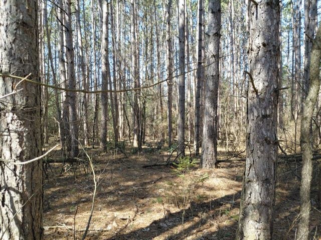 V/L E Pine Hill Avenue, White Cloud, MI 49349