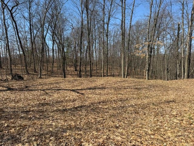 8180 N Echo Valley Drive, Irons, MI 49644
