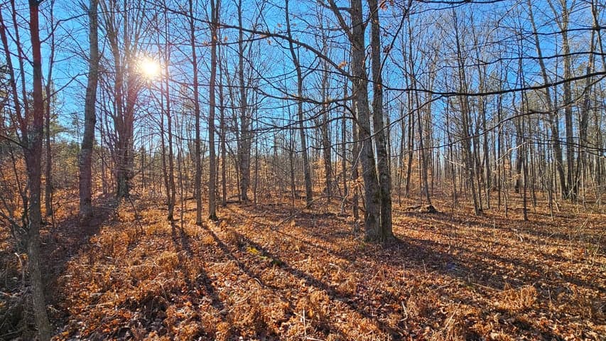 1621 Baker Road NE, Kalkaska, MI 49646