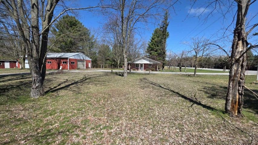 Photo 4