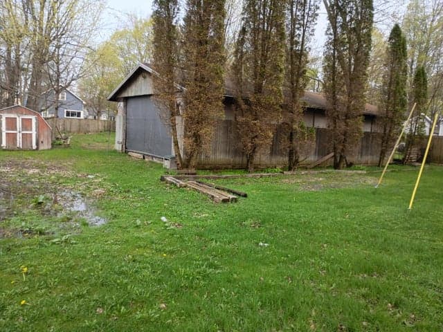Photo 4