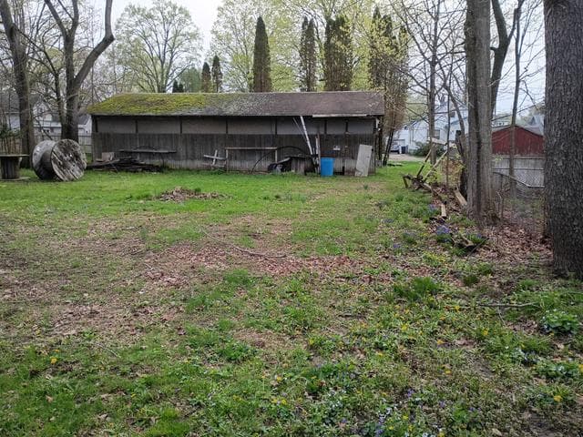 Photo 5