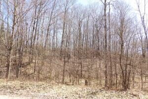 23098 Miramichi Drive, Evart, MI 49631