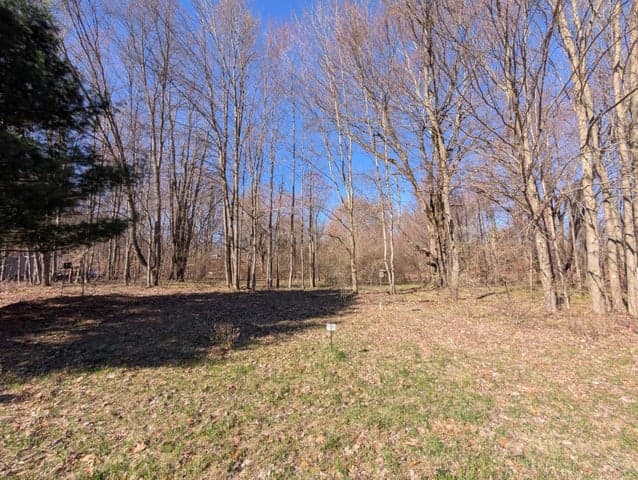 6465 Fox Den 197, Custer, MI 49405